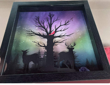 Shadowbox